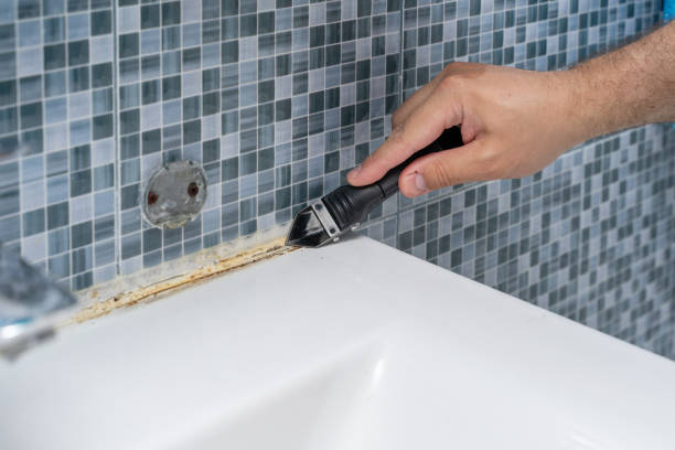 Best Mold Remediation  in Pequot Lakes, MN