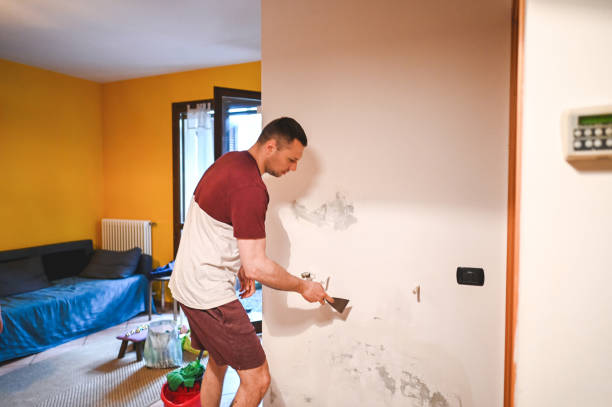 Best Water Damage Restoration  in Pequot Lakes, MN